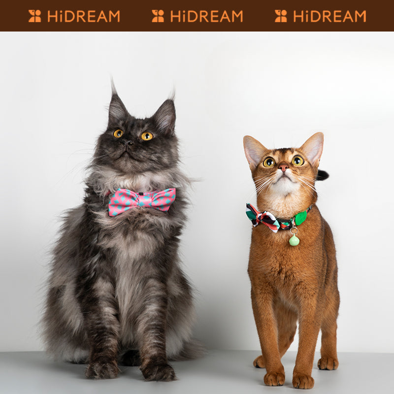 kikipals